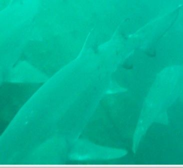 89c3f869-4353-4fe7-9709-b612547b6816