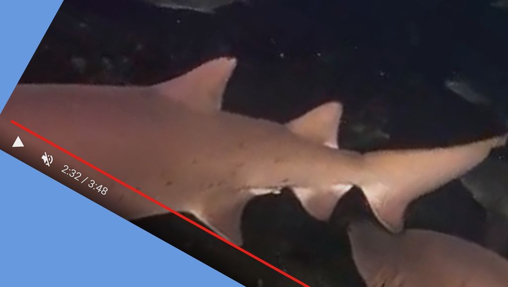 7cfe14c3-0b5b-4260-b422-b482c9fb283f