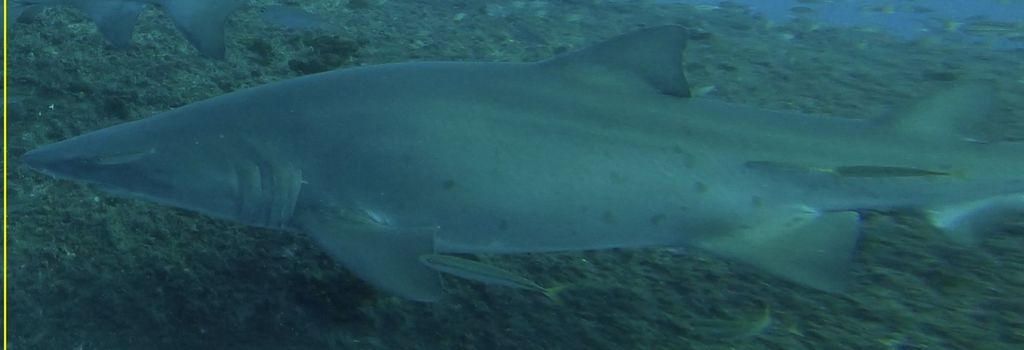 18b7add6-cbae-438c-8974-1a3190175120