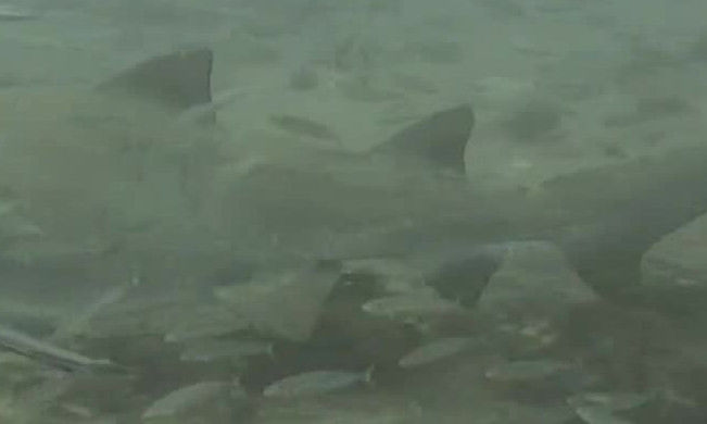 615471ef-3bae-4fe7-be06-2e1d4d897734