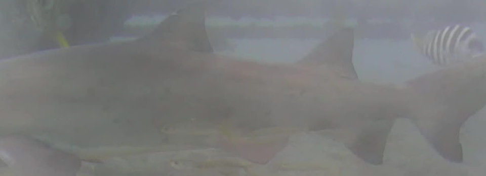 5919f280-b831-4416-a359-5349fcae019b