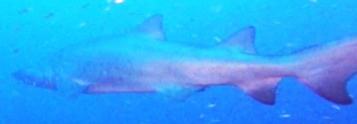 8d4d139c-2f75-4309-8523-7cd2bbf183c2