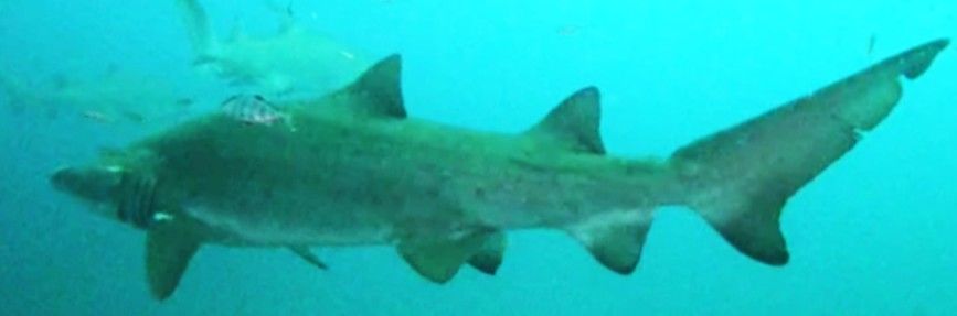 fedd7d63-e8ed-4dd0-9ae9-e708f5f6886f