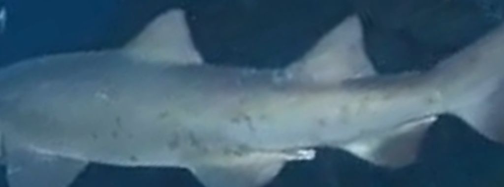 9e000519-e450-43bc-b370-bdd2a6341abb