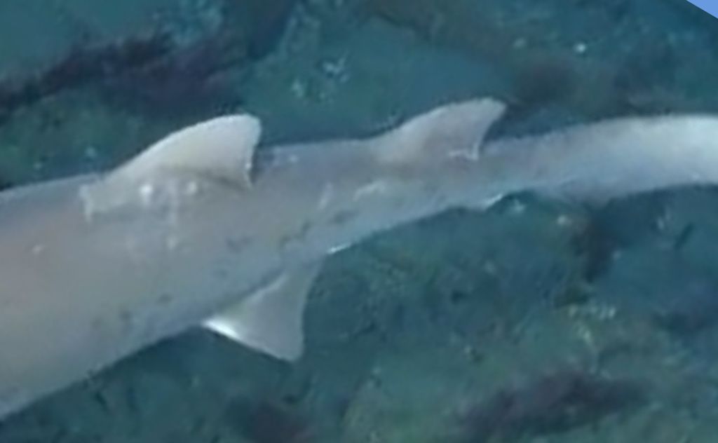 13028dba-5ac6-4316-8964-87cc18f5a1a8