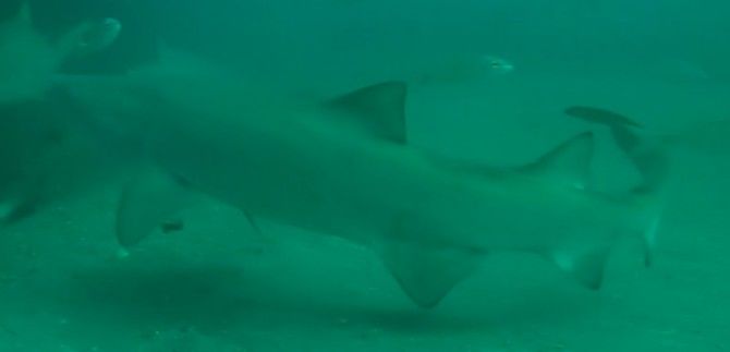 36898aa6-bba8-4670-ba10-26e4b00cd4bd