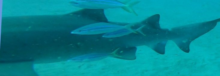 22466b2d-7b9f-4525-937b-dde3d6d218e2