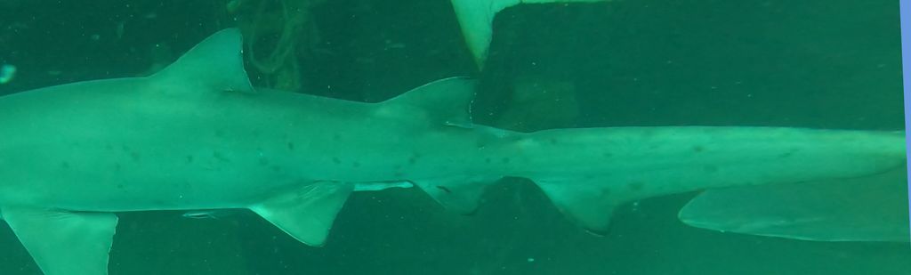 42dbb723-806e-4cca-aa4f-1cd7bf25a6e2