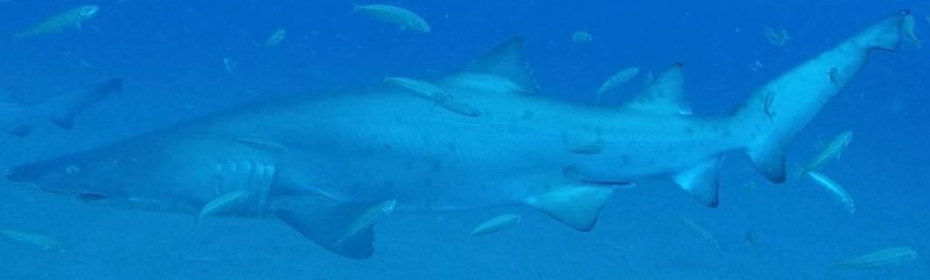 a092b1ee-c65d-4a0d-9eac-828113a121ae