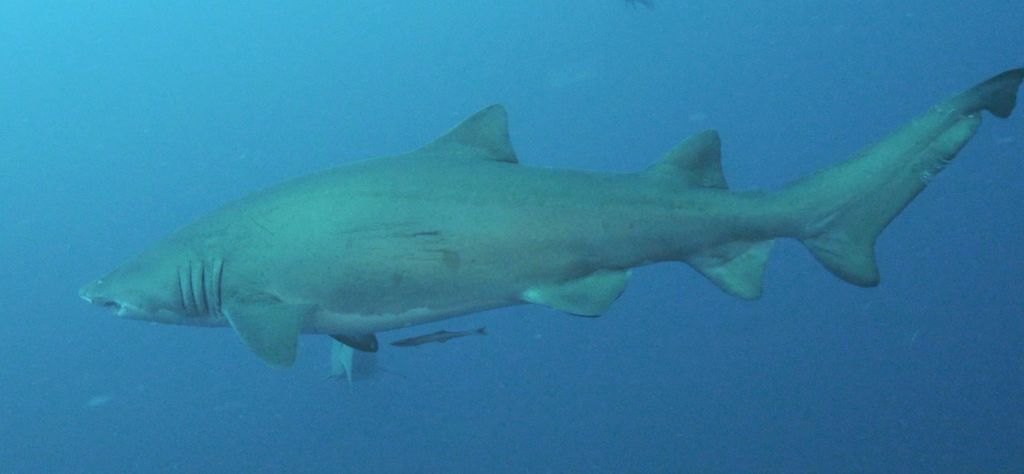 dca3166b-5c08-4423-9fc9-7d17d2683c63