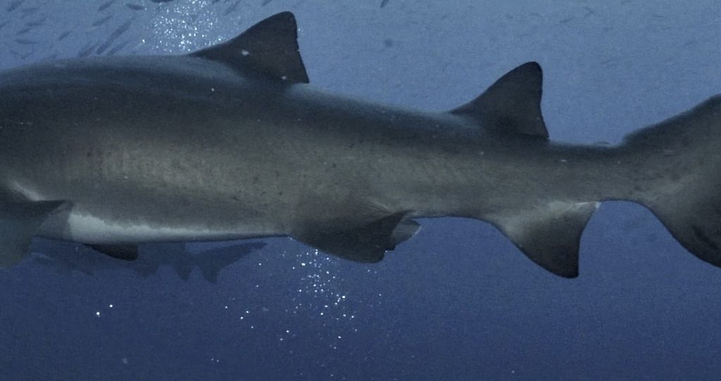 46336df9-a6be-409f-9778-9ecf3af70582