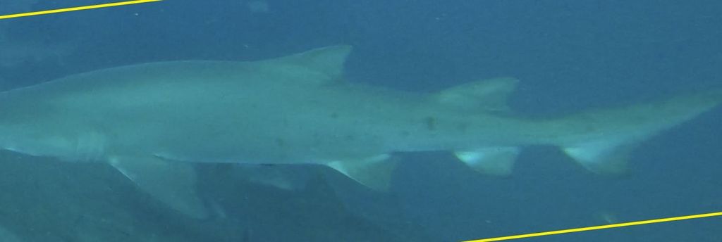 94038dd3-2086-4384-9d93-1ebab07904bf