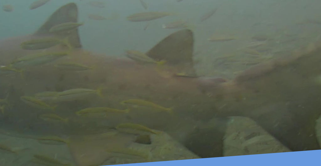 c178a0f2-498c-49fb-b120-c0cda3ee74af