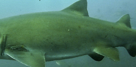 3578d4ea-b619-440d-8397-5fc117550e3f