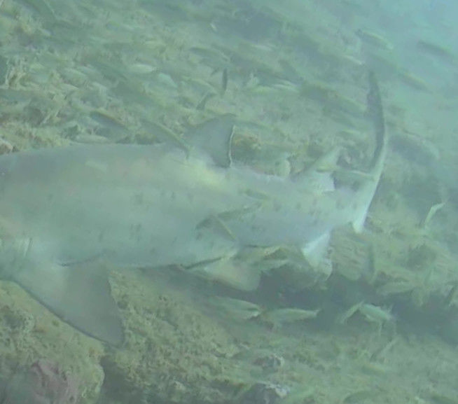 dd777ca9-1897-4703-afb4-9ea458bc08f8