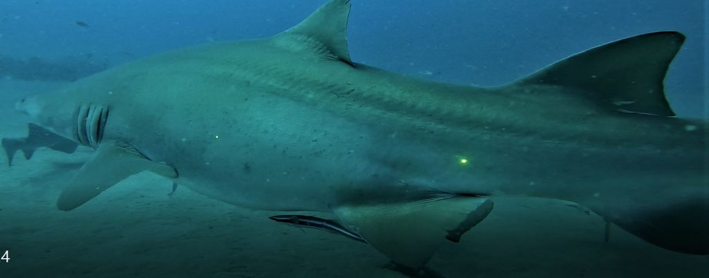 093827b5-a515-4a78-bb9b-16ee29237c7d