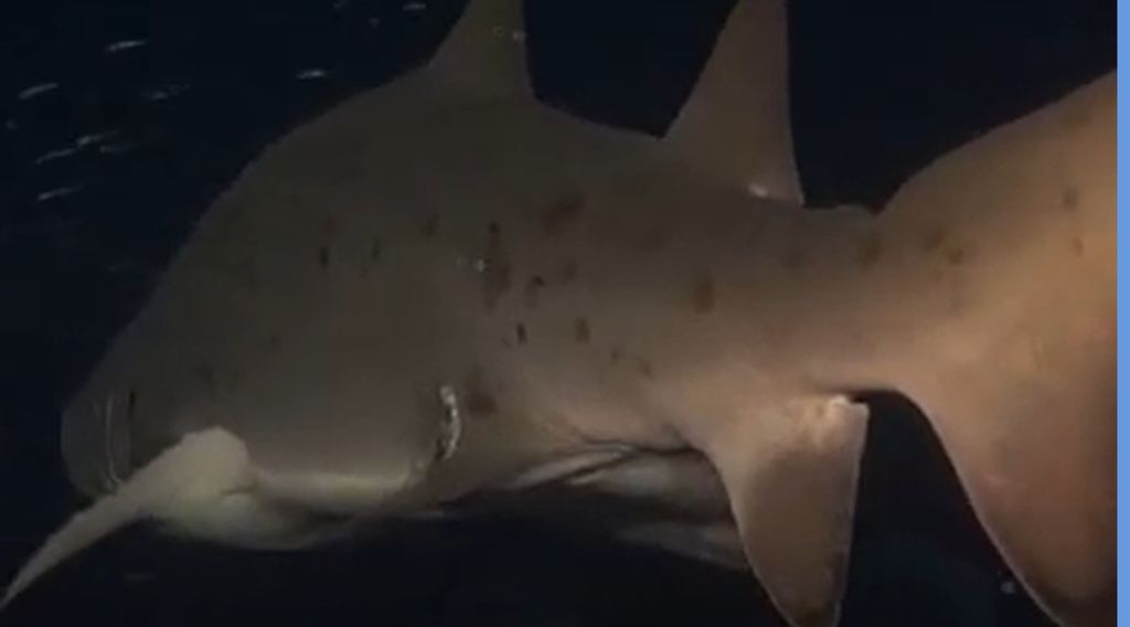 8a33f93a-5213-480a-98d3-6494dbb9ced1