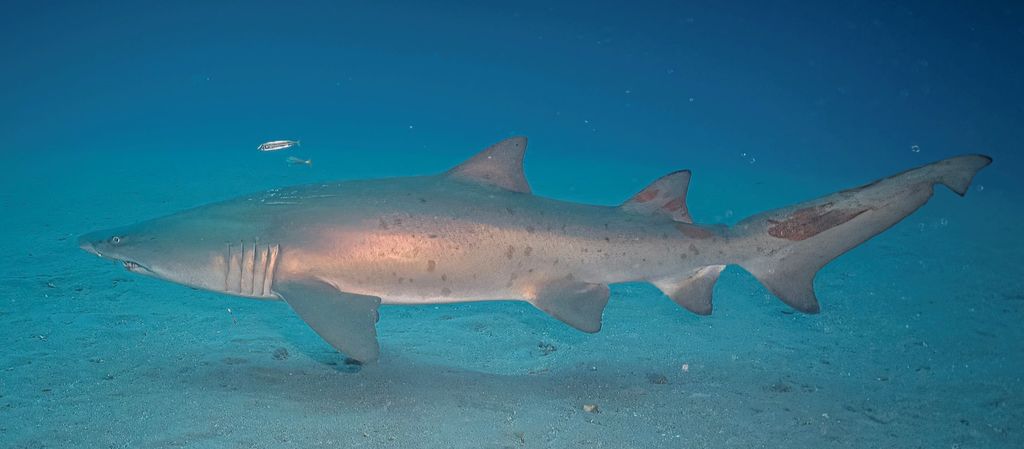 4675ec16-6983-4ef1-85a2-946527675961