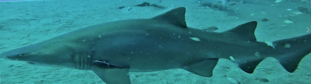 0d860f54-2400-4bc7-a39e-4852e6ba3c00