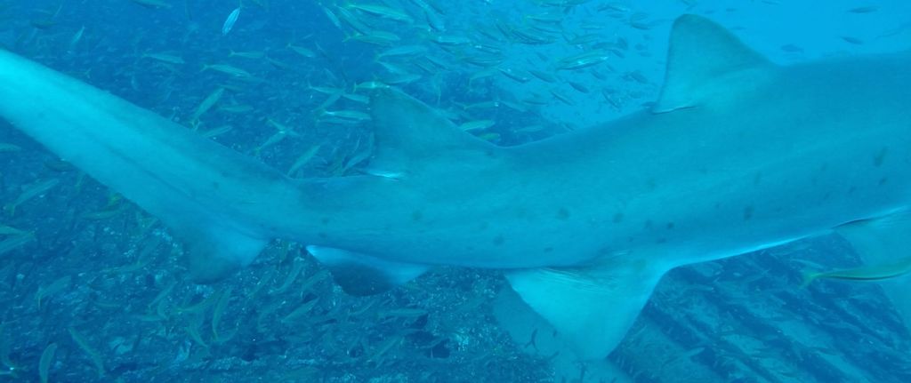 6fed1192-60e3-4b7d-91dc-360209c3e51b