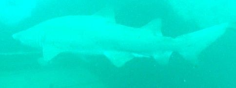 b060a27a-9806-465b-90d0-ad0be7cec1a8