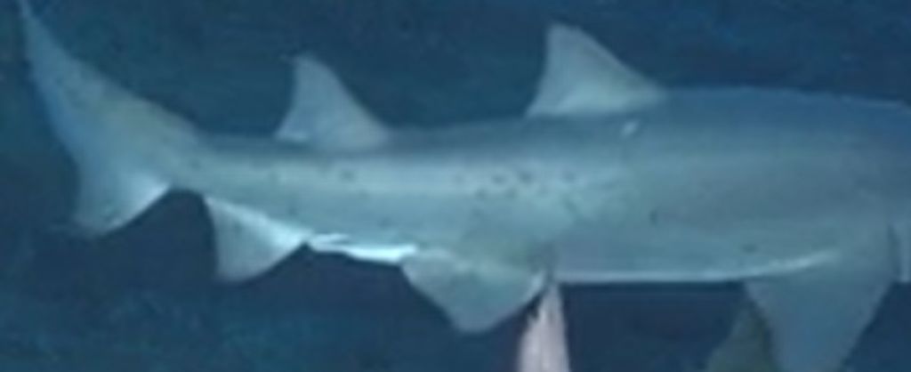 6f4b75bf-a423-46bf-bed6-2ea6edc62f82