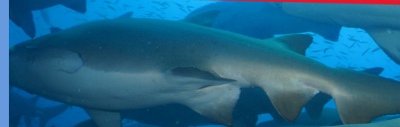 e8d5121b-f6f5-48a6-ba49-91960d4763bc