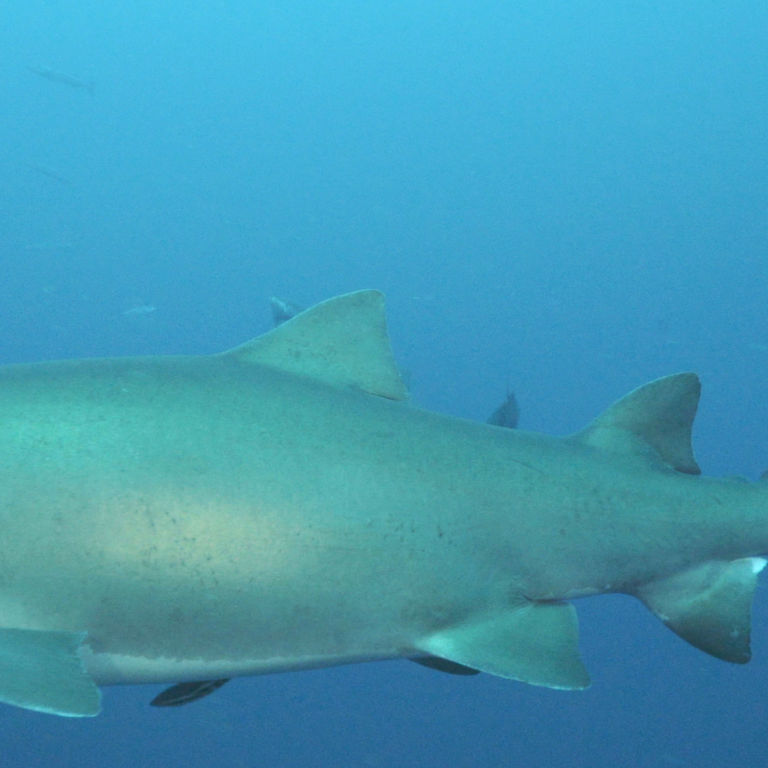 a3af06ff-02c9-4026-a2ed-3c190d6b25db