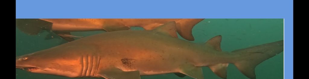 badb6447-c743-4826-8aa0-c51a0f3f0e4c