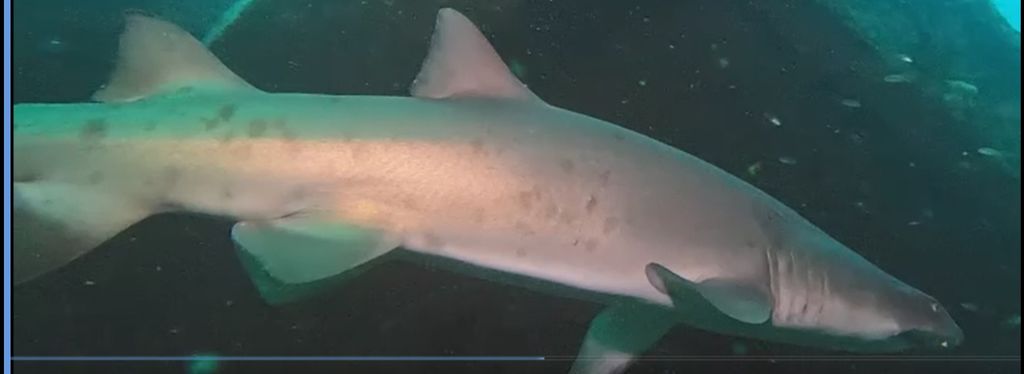 e9016b99-373c-467f-9325-014fb81bde65