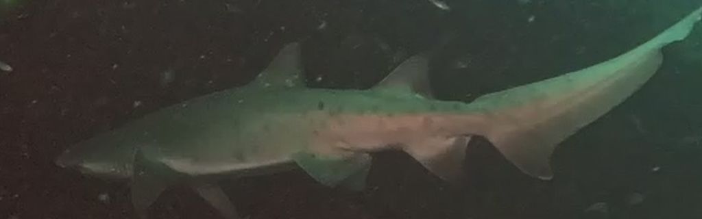 e9016b99-373c-467f-9325-014fb81bde65