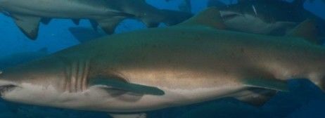 7b6bb9a4-6698-4e35-841a-fb66928453c4