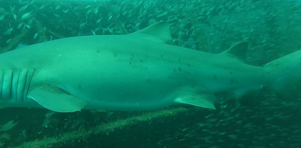 fb909adc-3da9-46d1-8f19-71d4d302bf96