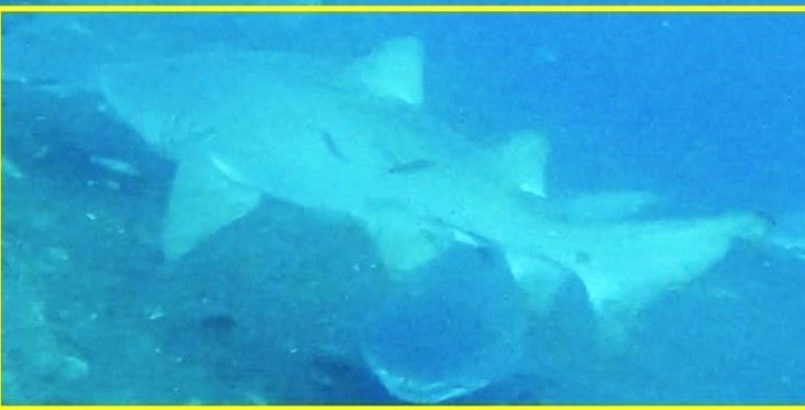 351c807b-5be1-4370-9ee9-2ee157a6e799