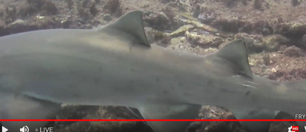 7112bf54-4fcc-44ba-a738-cc34e0c7f399