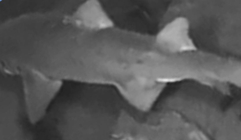 243d7bce-3890-473c-8616-68354864ed7c