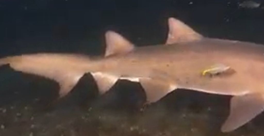 9349a688-3118-4b5e-ad9c-28251208563b