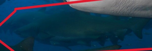 2e3dd68c-91ea-4778-812a-3b3d7c373751