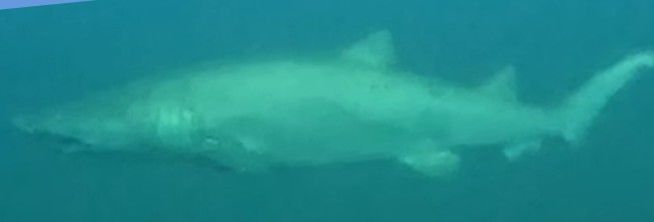 d1def4f8-b3f3-4c98-a79d-7ec74622c014