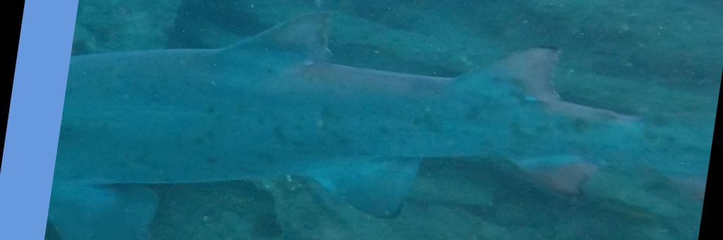 fc26aca1-523e-43ab-b2ee-a24f7f00eba4