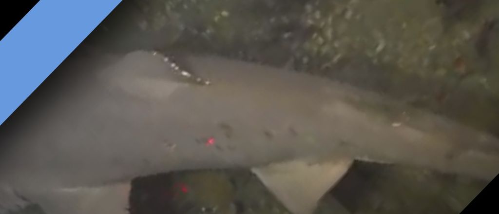 2ec87f02-6023-472c-a49b-3fa3e2912137