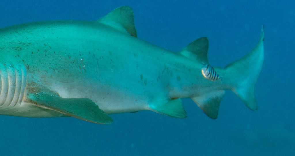 abbc4736-e8df-417f-b1fe-e8d26301c8c5