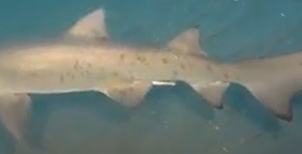 caaa546e-bb8e-4ae9-80b7-c3d1410dfa0c