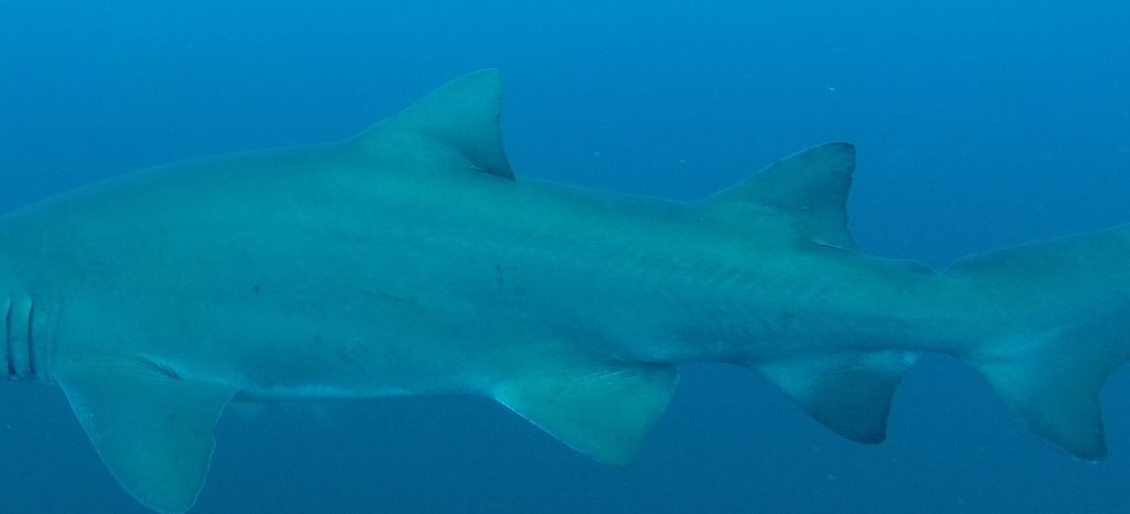 a8207afe-c267-4a80-91a2-6c8cbdffb46d