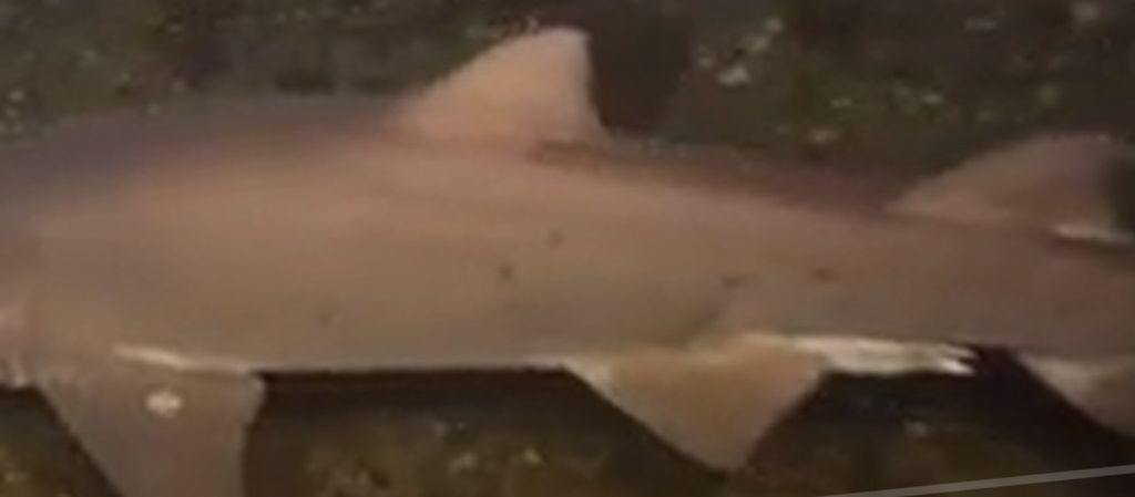 30acf82e-5b6b-43f8-aba0-e14685e418cc