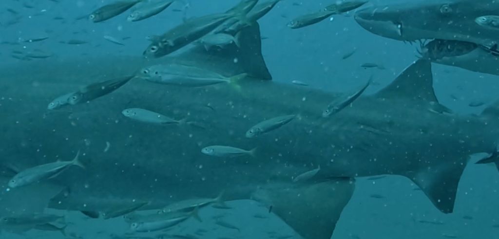 9bbd7153-44f1-45a1-b466-7ff6192b5069