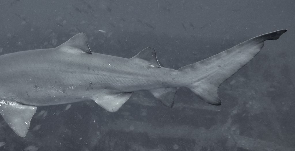 5aefb7c0-51c8-492c-aa87-e32b5cdfb5d0