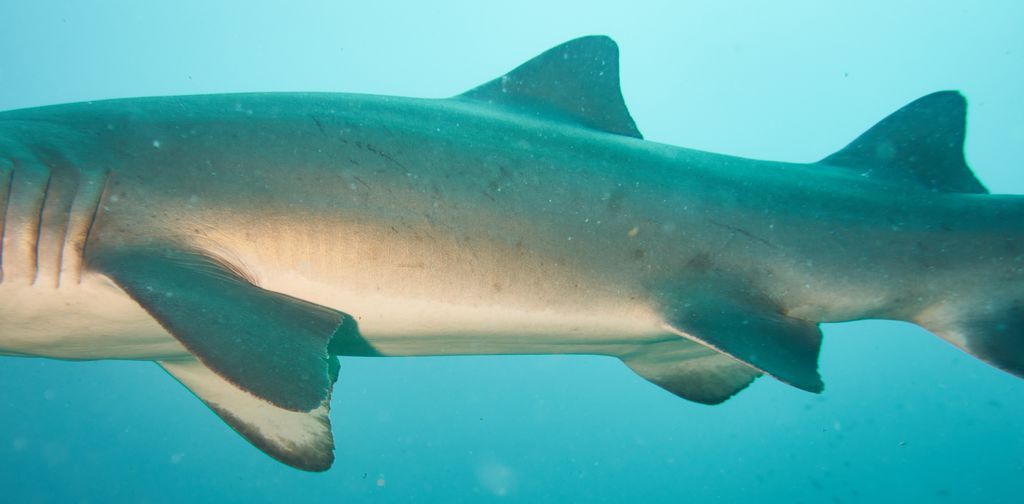 67343b45-9784-42be-a35c-113e1d868061