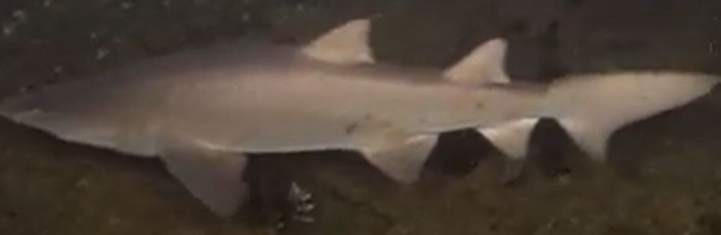 9c29898a-63a5-44a8-bf9b-1072653c5d8c