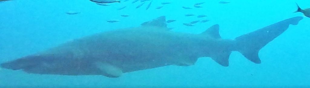 37b8f252-04e9-4778-8870-52889b33fac7